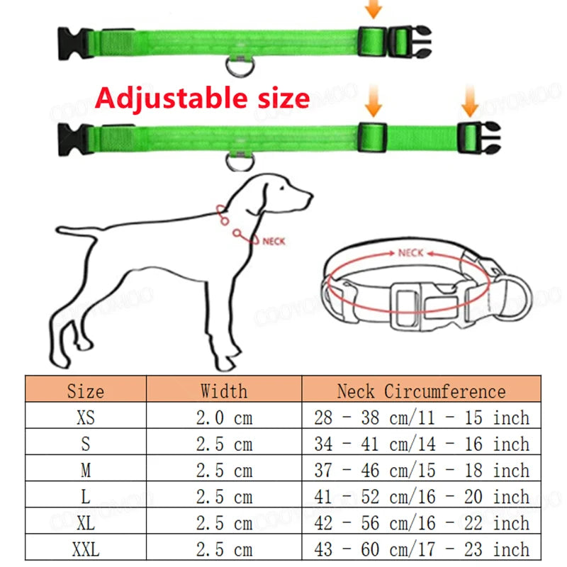 Dog Luminous LED Collar – USB Rechargeable Light-Up Safety Collar