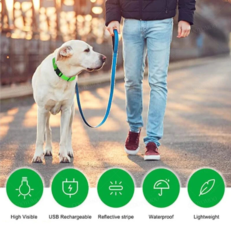 Dog Luminous LED Collar – USB Rechargeable Light-Up Safety Collar