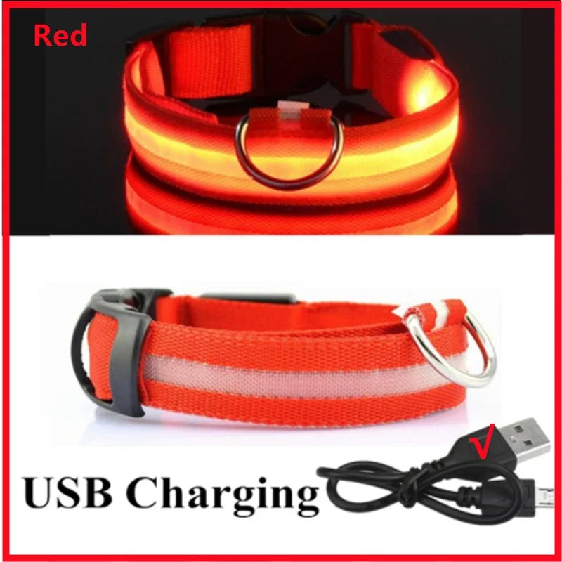 Dog Luminous LED Collar – USB Rechargeable Light-Up Safety Collar