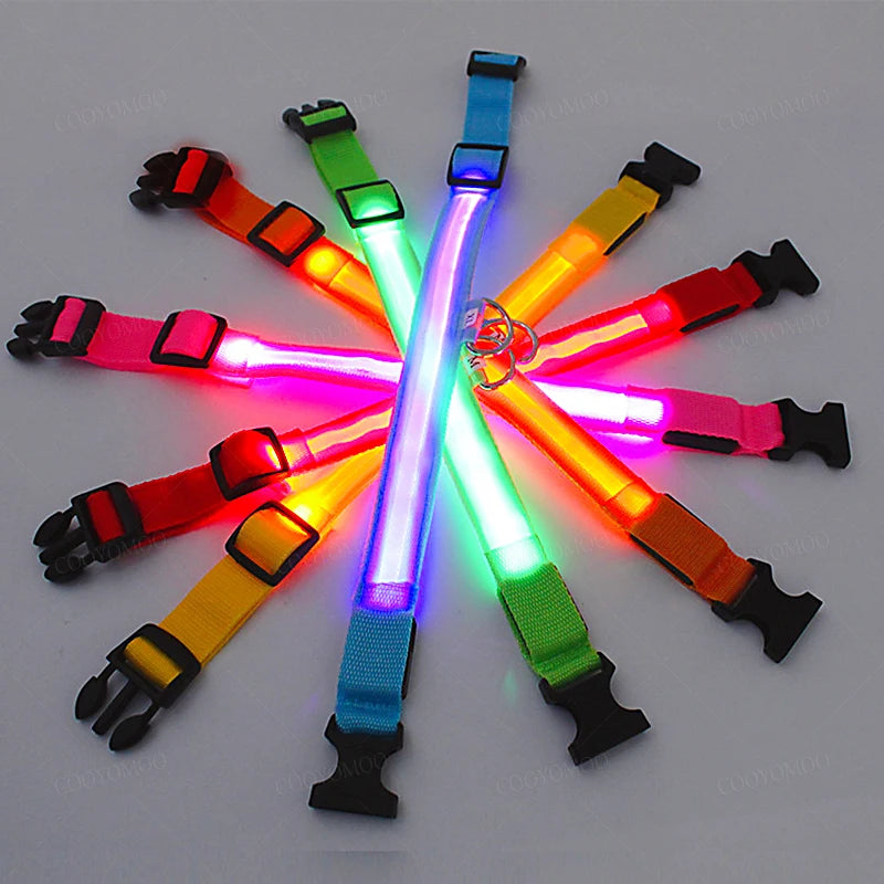 Dog Luminous LED Collar – USB Rechargeable Light-Up Safety Collar
