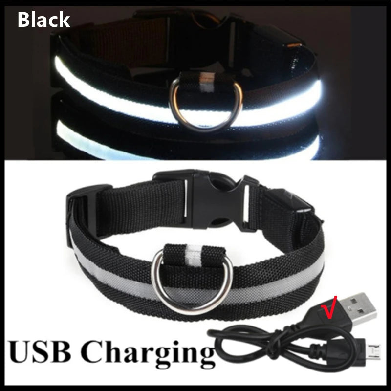 Dog Luminous LED Collar – USB Rechargeable Light-Up Safety Collar