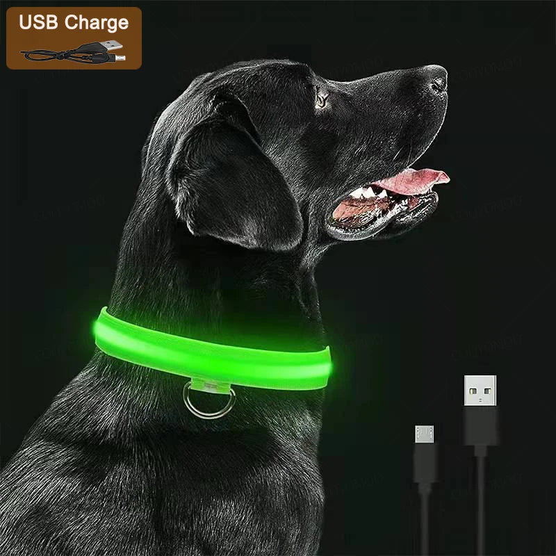 Dog Luminous LED Collar – USB Rechargeable Light-Up Safety Collar